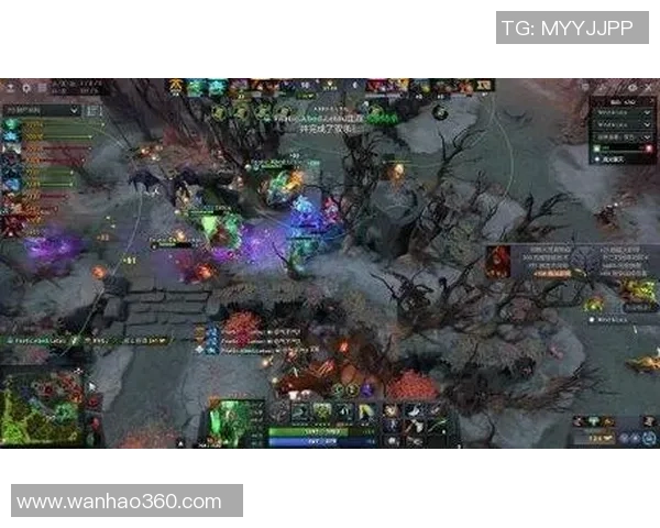 DOTA2热议:RNG的战术争议